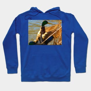 Winging it Hoodie